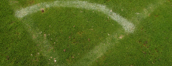 Field