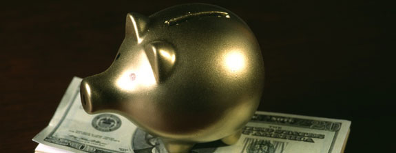 Golden Pig